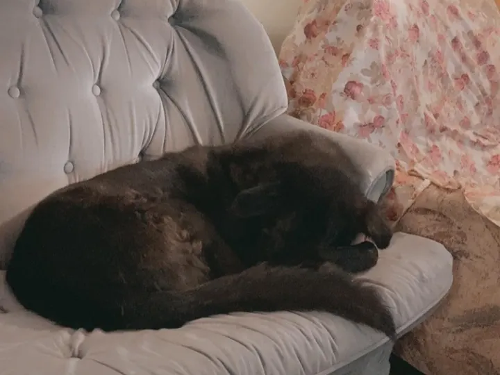 A photo of Wilbur, memory 80