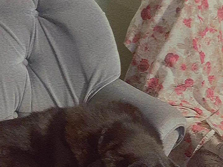 A photo of Wilbur, memory 81