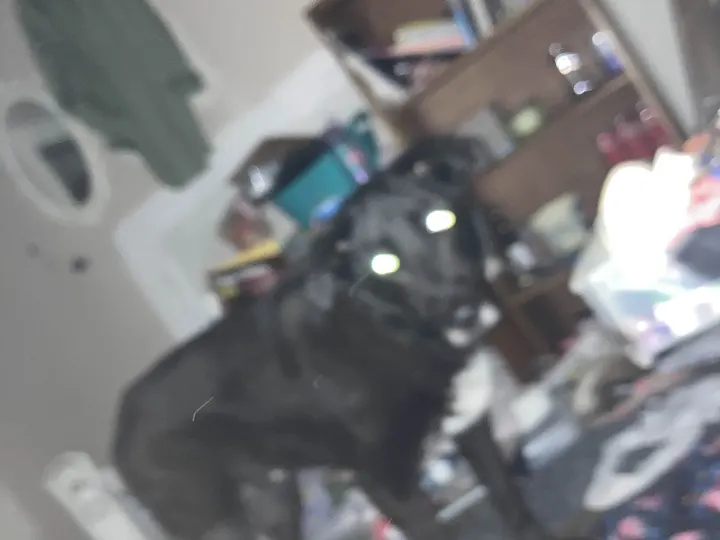 A photo of Wilbur, memory 65