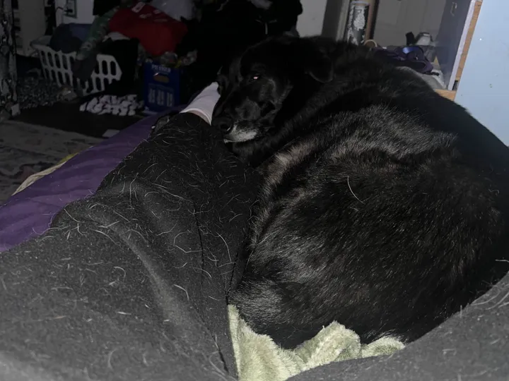A photo of Wilbur, memory 14