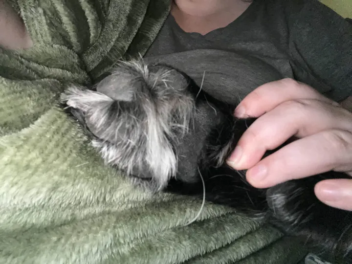 A photo of Wilbur, memory 13
